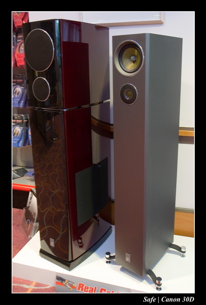 2006 - 10 - Salon hifi sofitel - 176